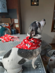 Valentine's Day Bandanna