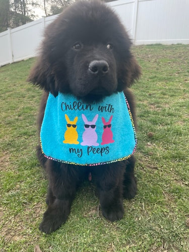 Drool Bibs