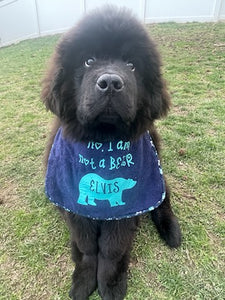 Drool Bibs