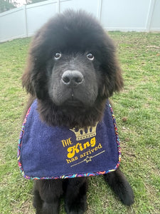 Drool Bibs
